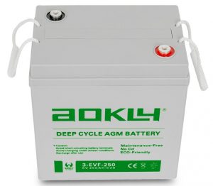 باتری 6 ولت 250 آمپر AGM دیپ سایکل مخصوص اسکرابر (زمینشور)